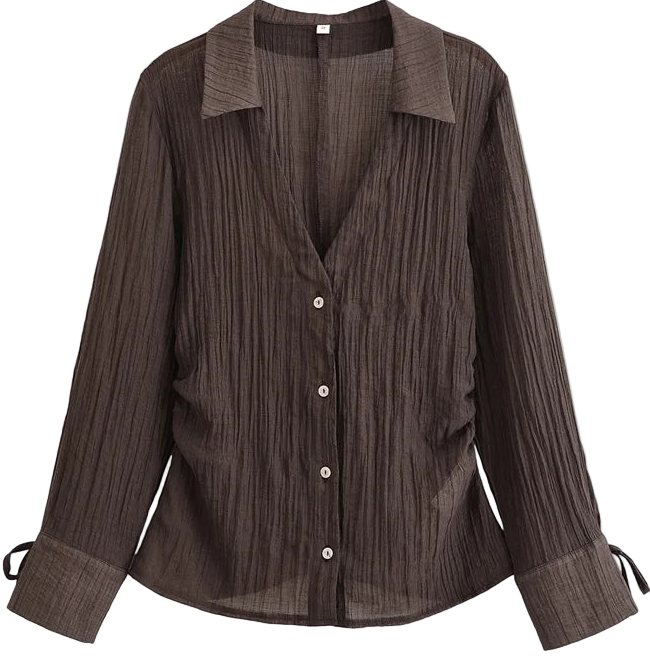Women's Blouse New Summer 2025 Brown Long Sleeve Translucent Shirt with Bow - Sexy, Fashionable & Versatile | New Zealand | Strylez Virtual Try-On